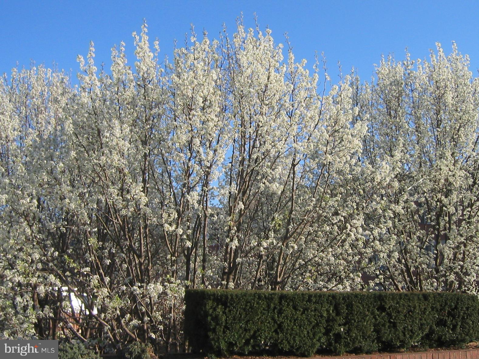 FALLS STATION - Residential Lease