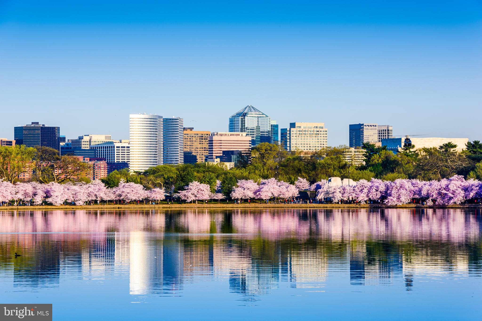 THE ARLINGTON - Residential