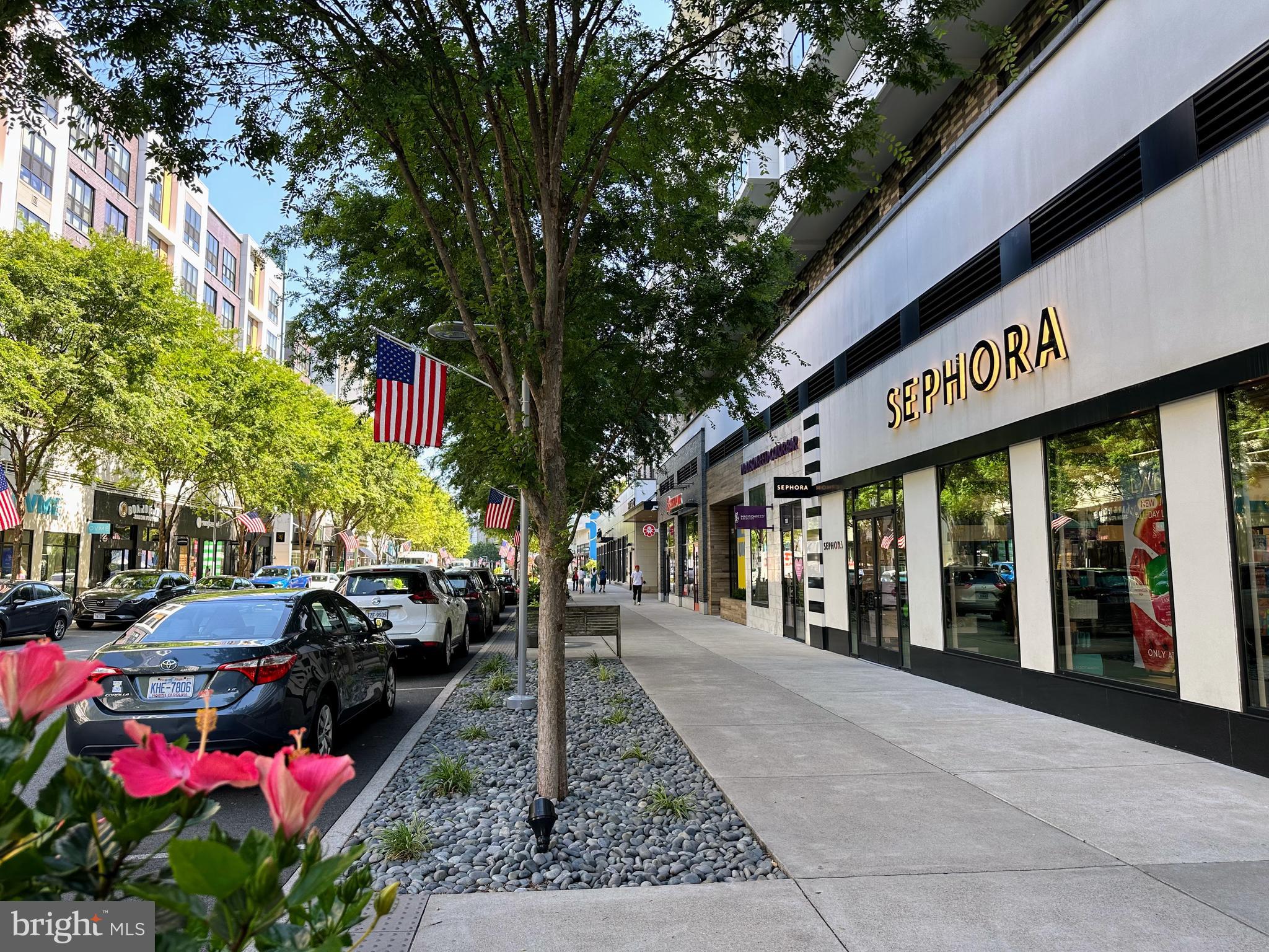 MOSAIC AT MERRIFIELD - Residential