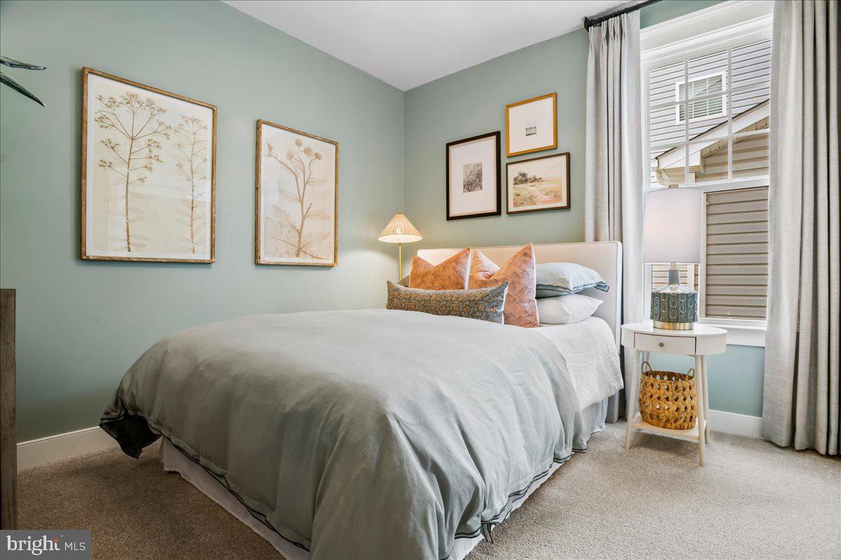 SNOWDEN BRIDGE - Residential