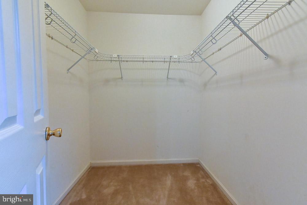 SYCAMORE VILLAGE - Residential