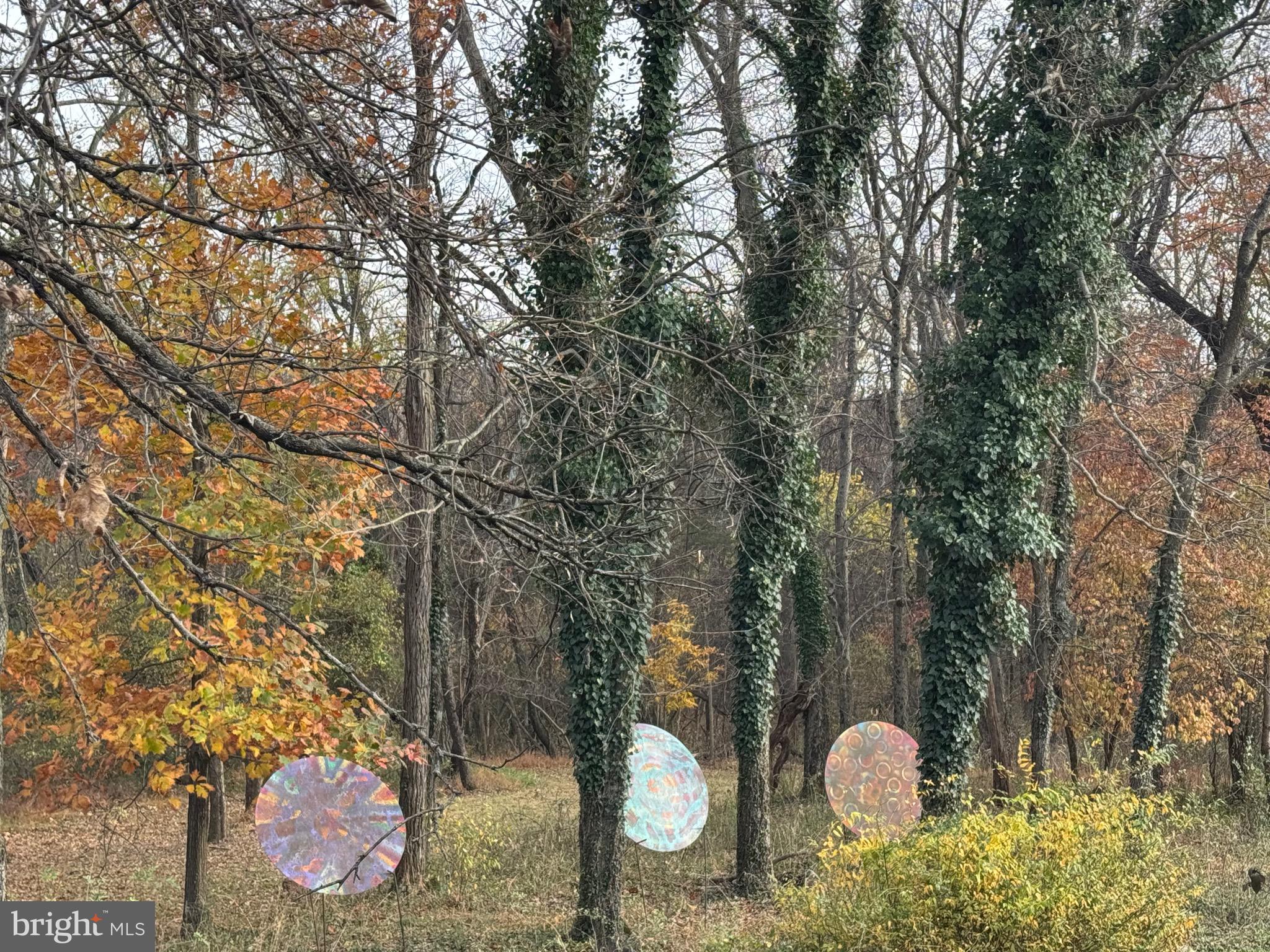 ELK RUN ESTATES - Residential