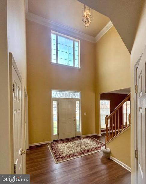 CANTER FARMS - Residential