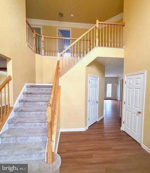 CANTER FARMS - Residential