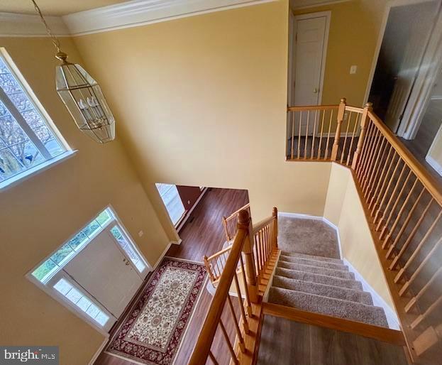 CANTER FARMS - Residential