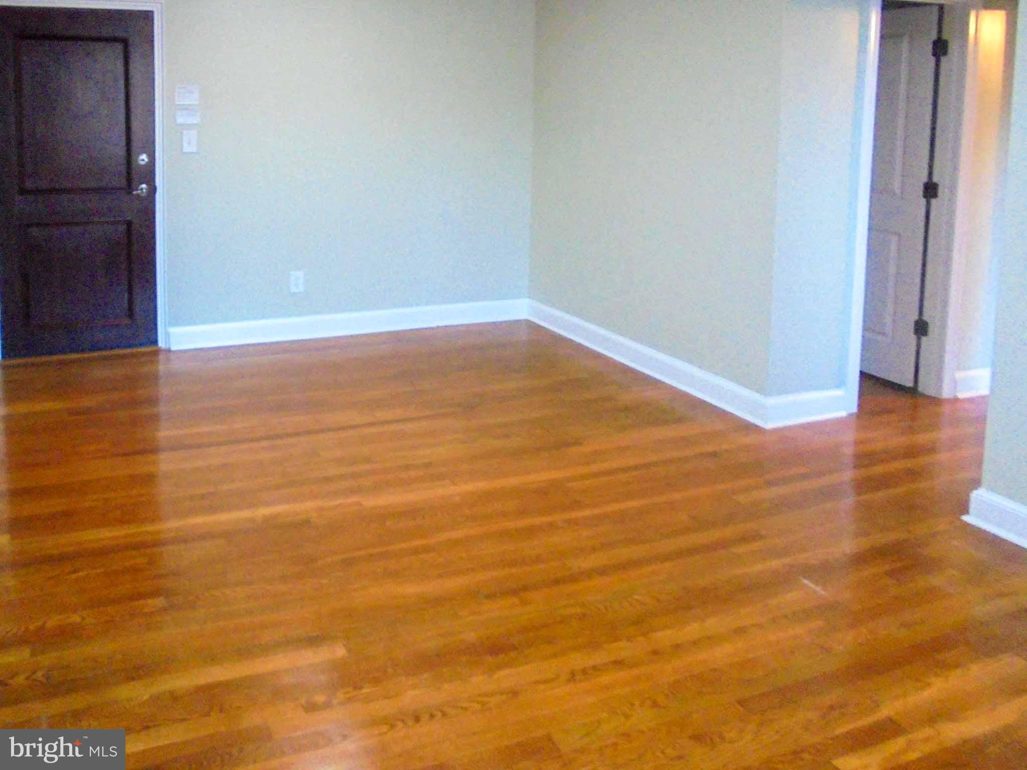 BEARINGS SOUTH - Residential Lease