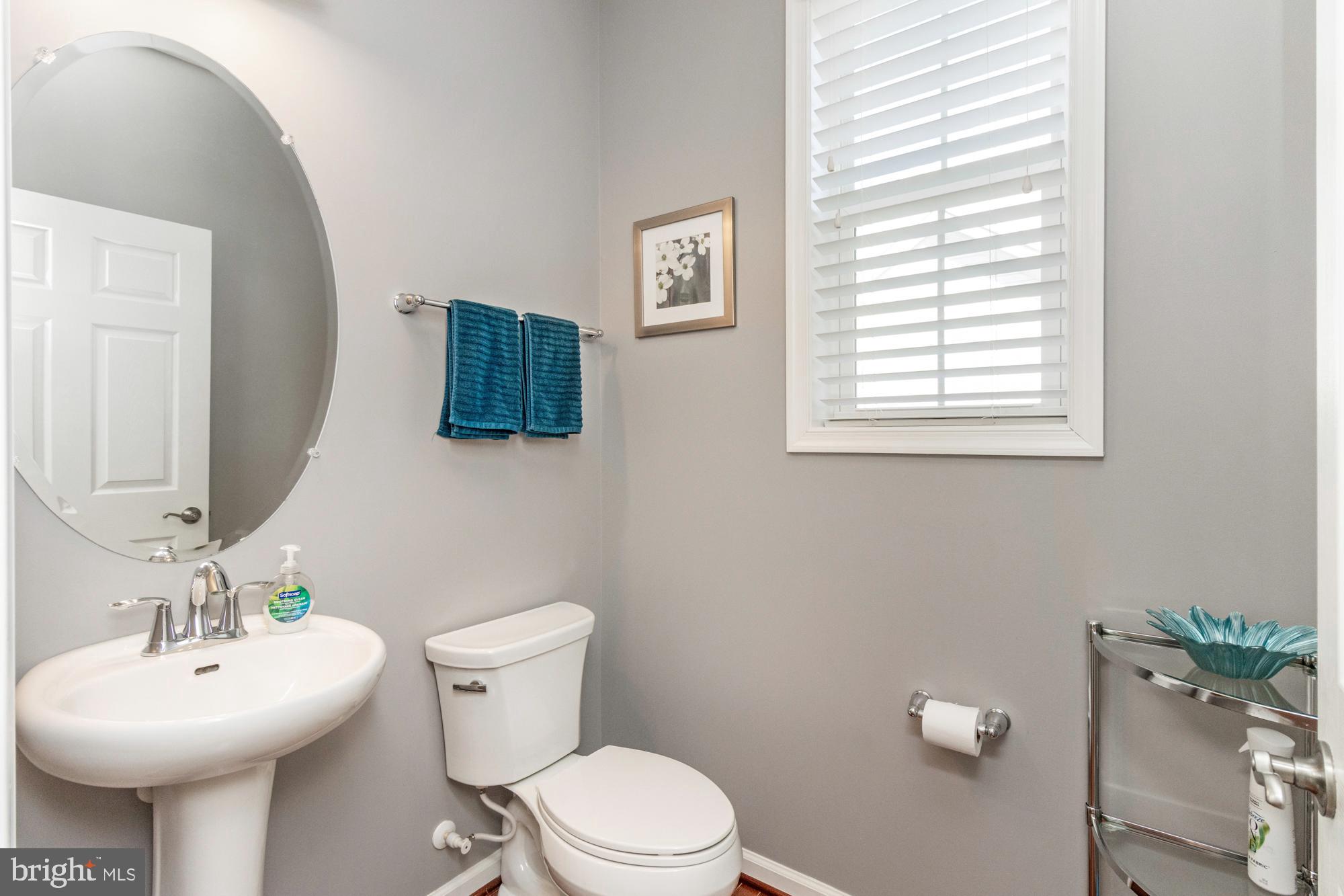 FORGE MEADOWS - Residential