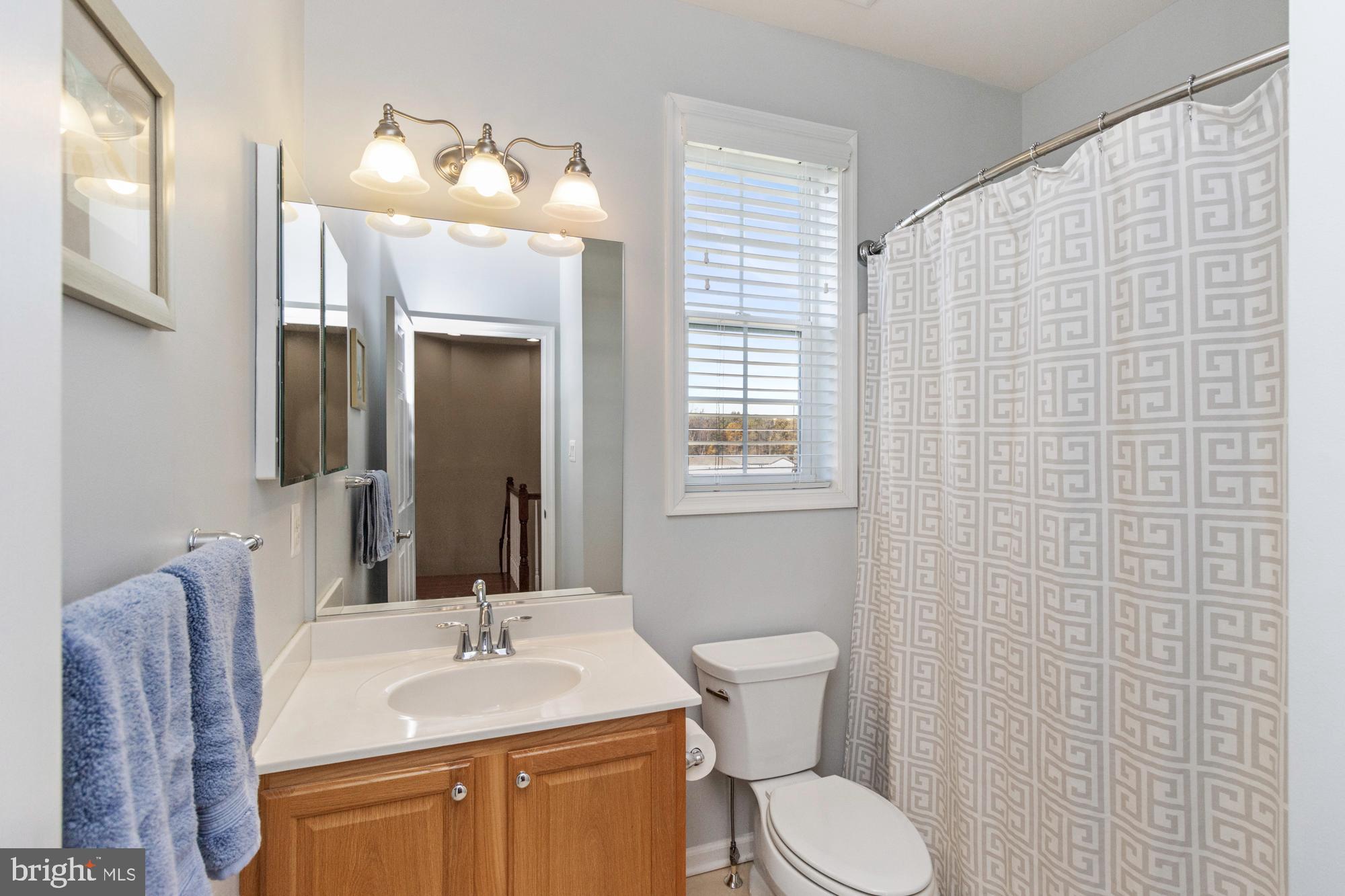 FORGE MEADOWS - Residential