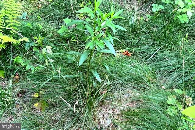 FALCONWOOD - Residential