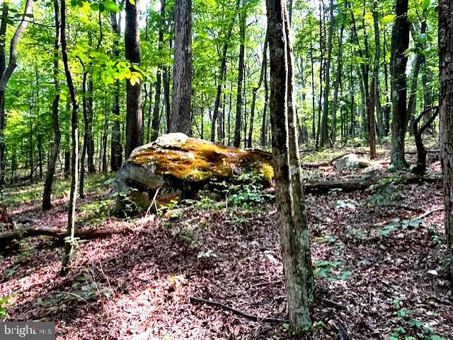 FALCONWOOD - Residential