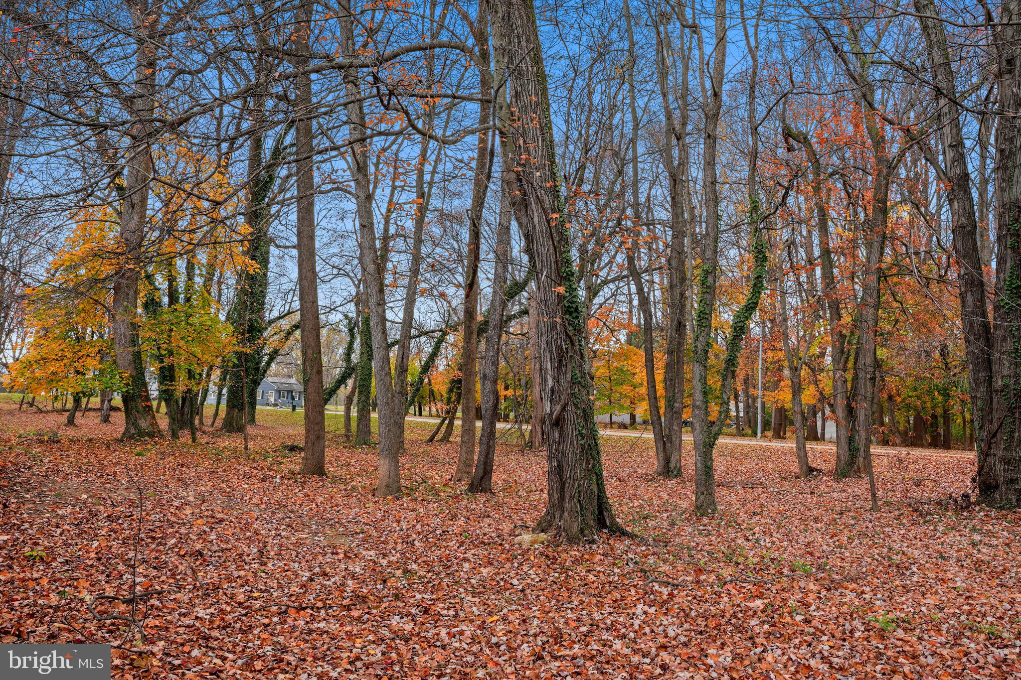 TWELVE TREES - Residential Lease