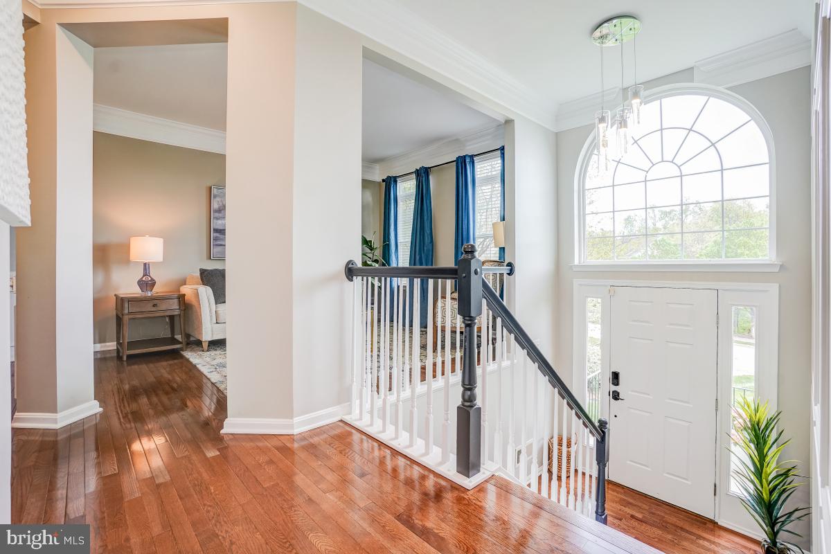 6038 JOSEPH SCOTT DRIVE