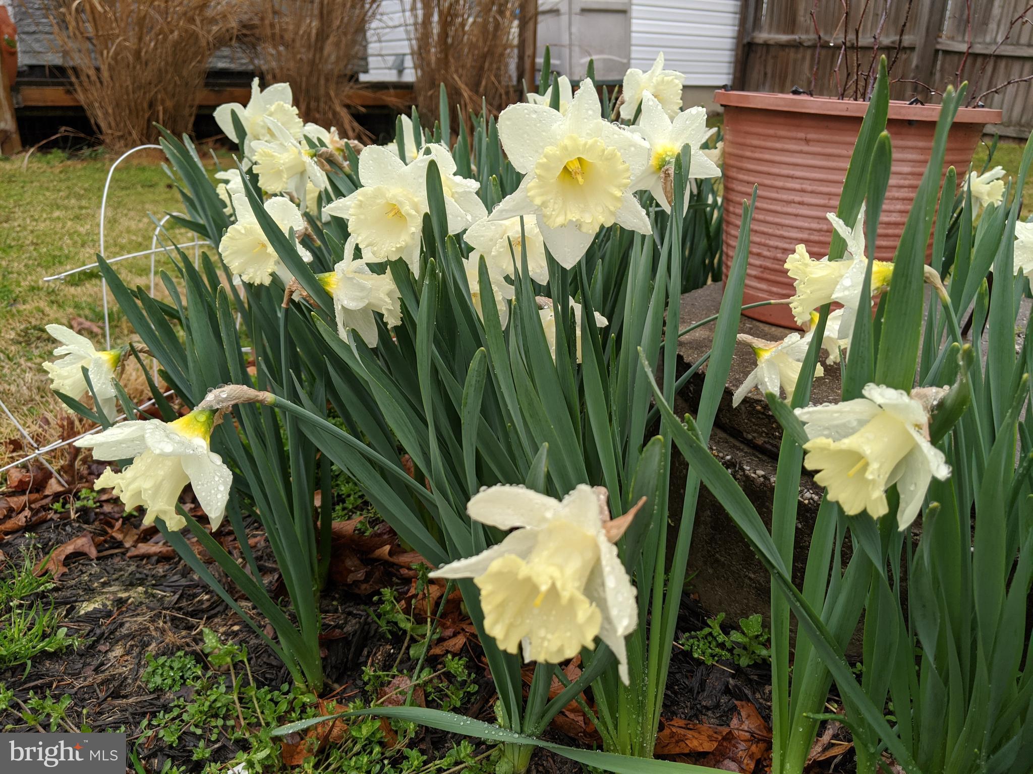 KUCZINSKI PROPERTY - Residential