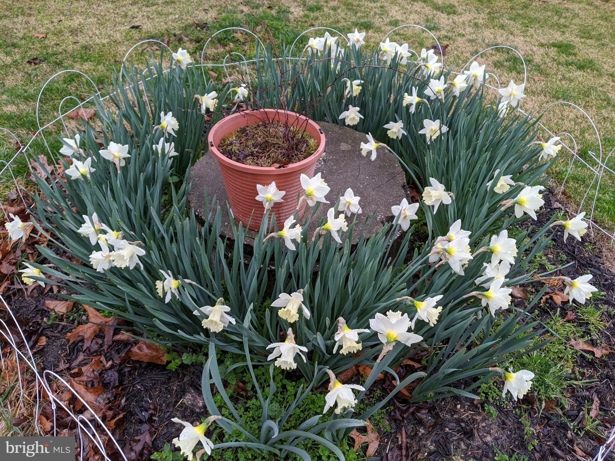 KUCZINSKI PROPERTY - Residential