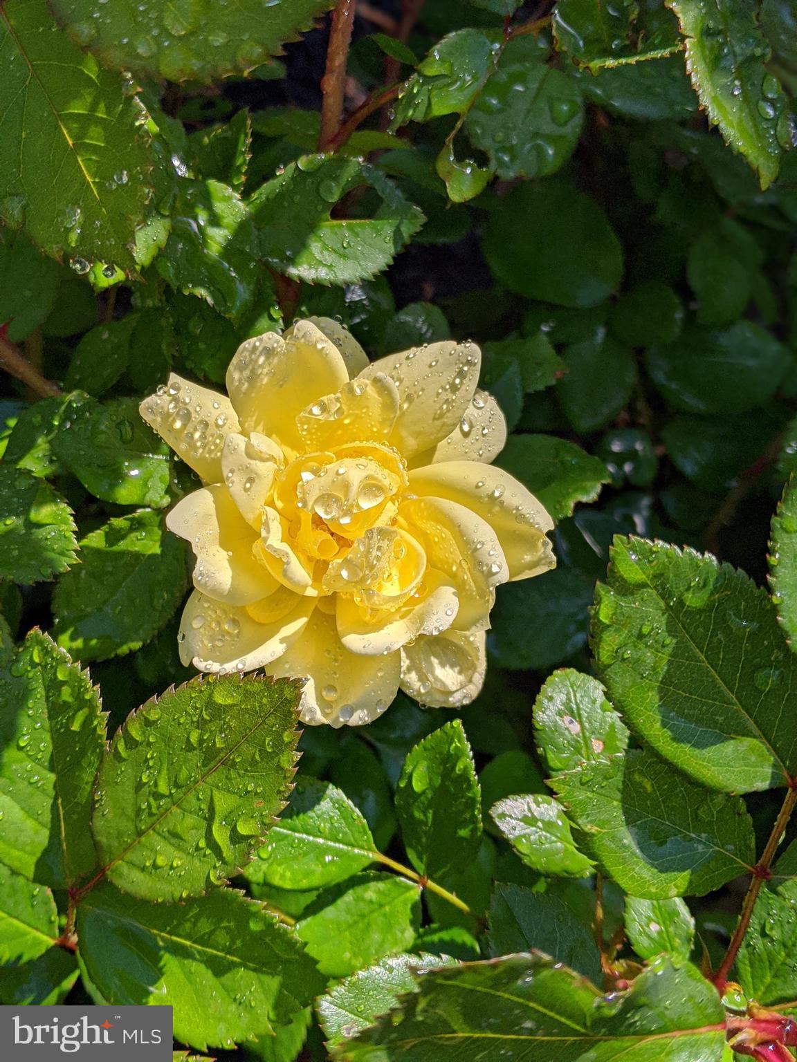 KUCZINSKI PROPERTY - Residential