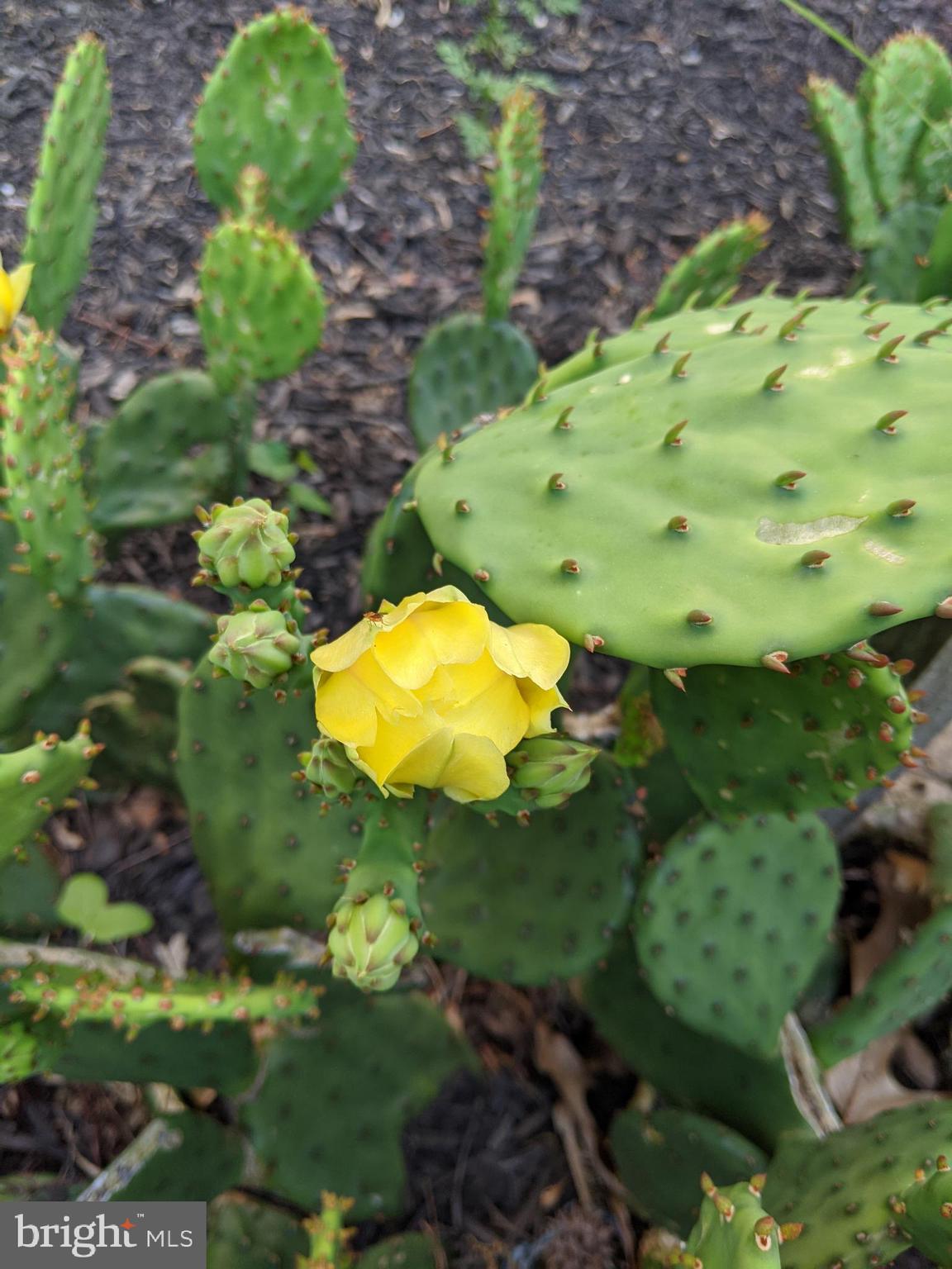 KUCZINSKI PROPERTY - Residential