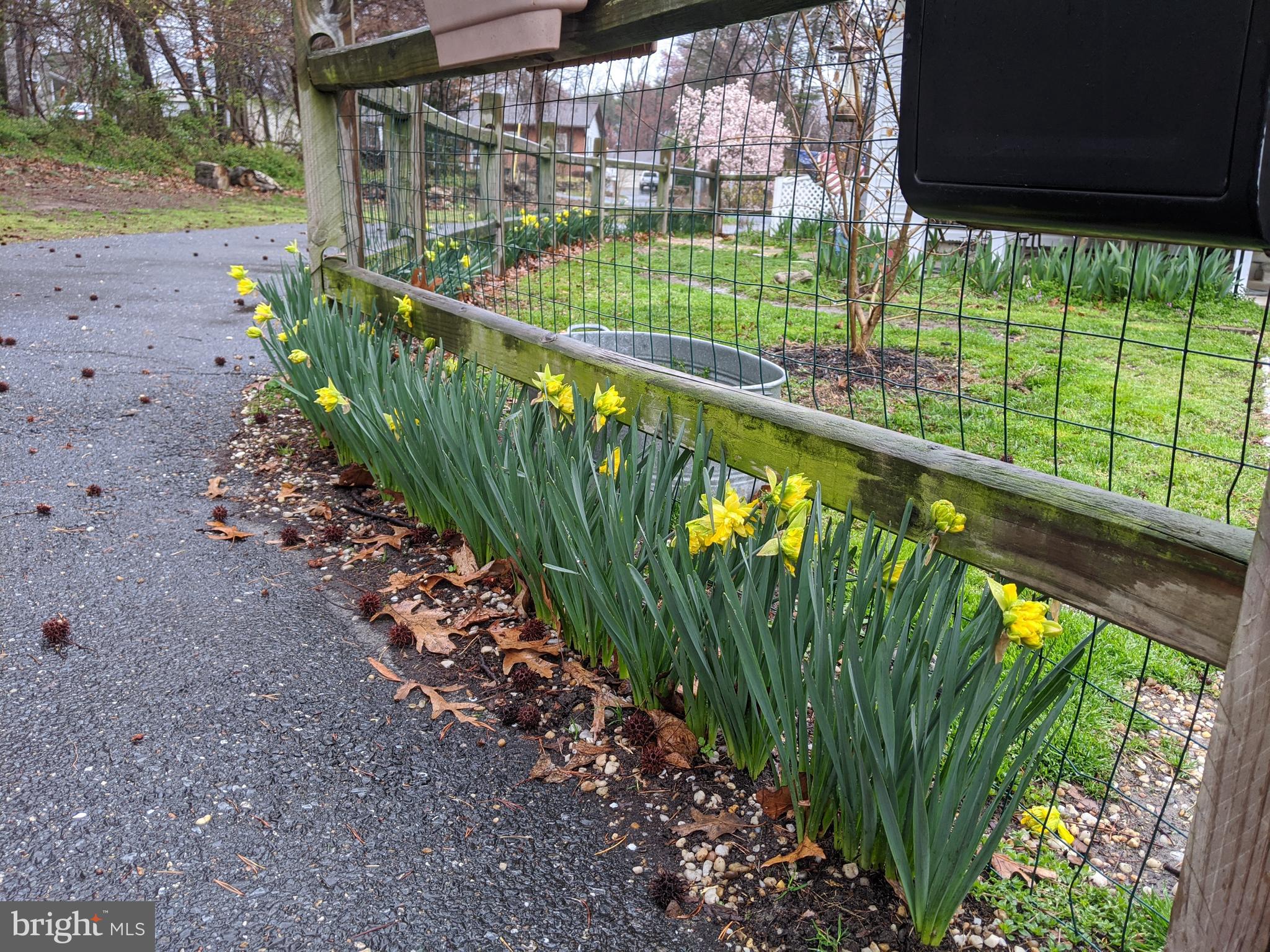 KUCZINSKI PROPERTY - Residential