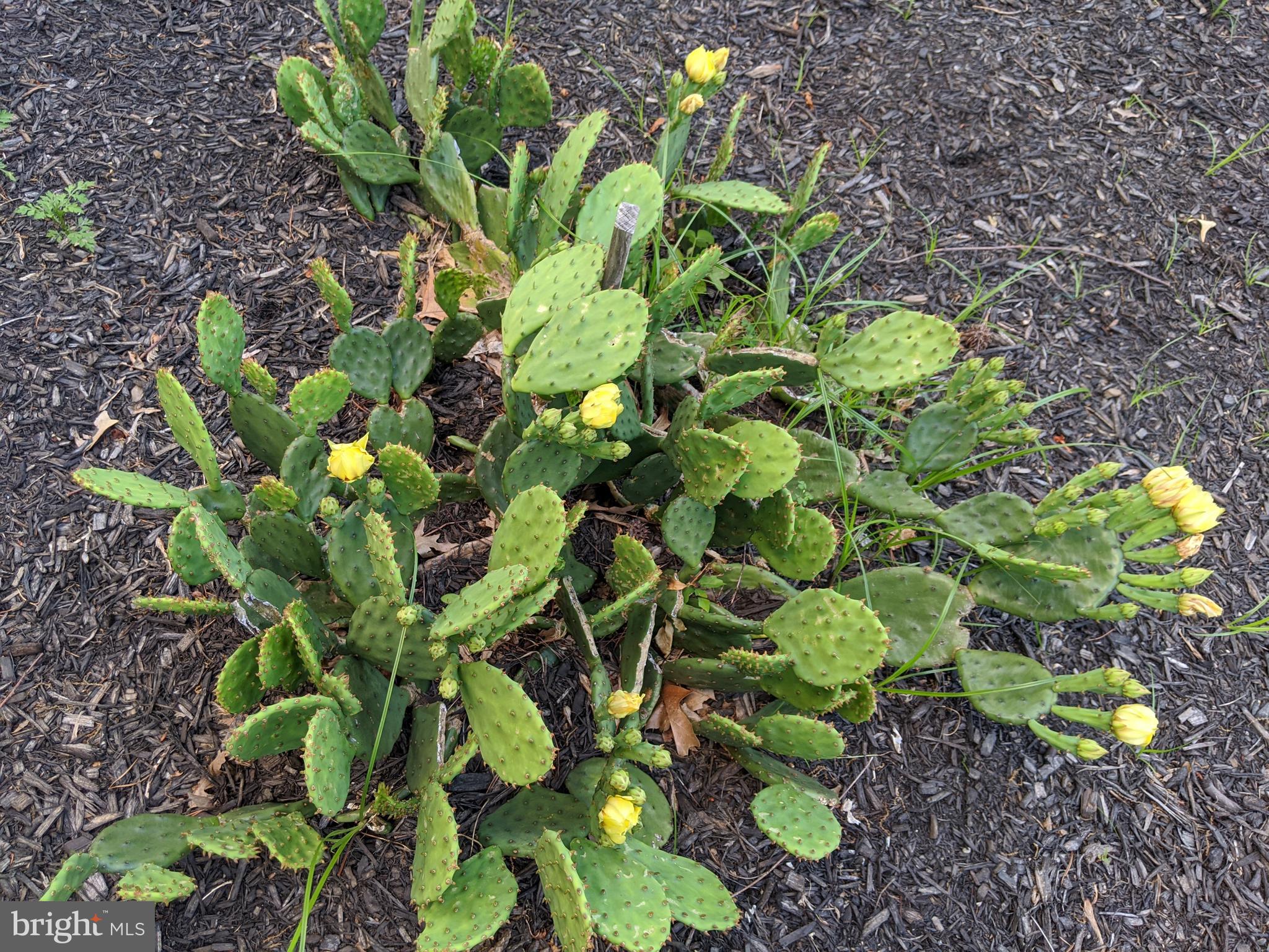 KUCZINSKI PROPERTY - Residential