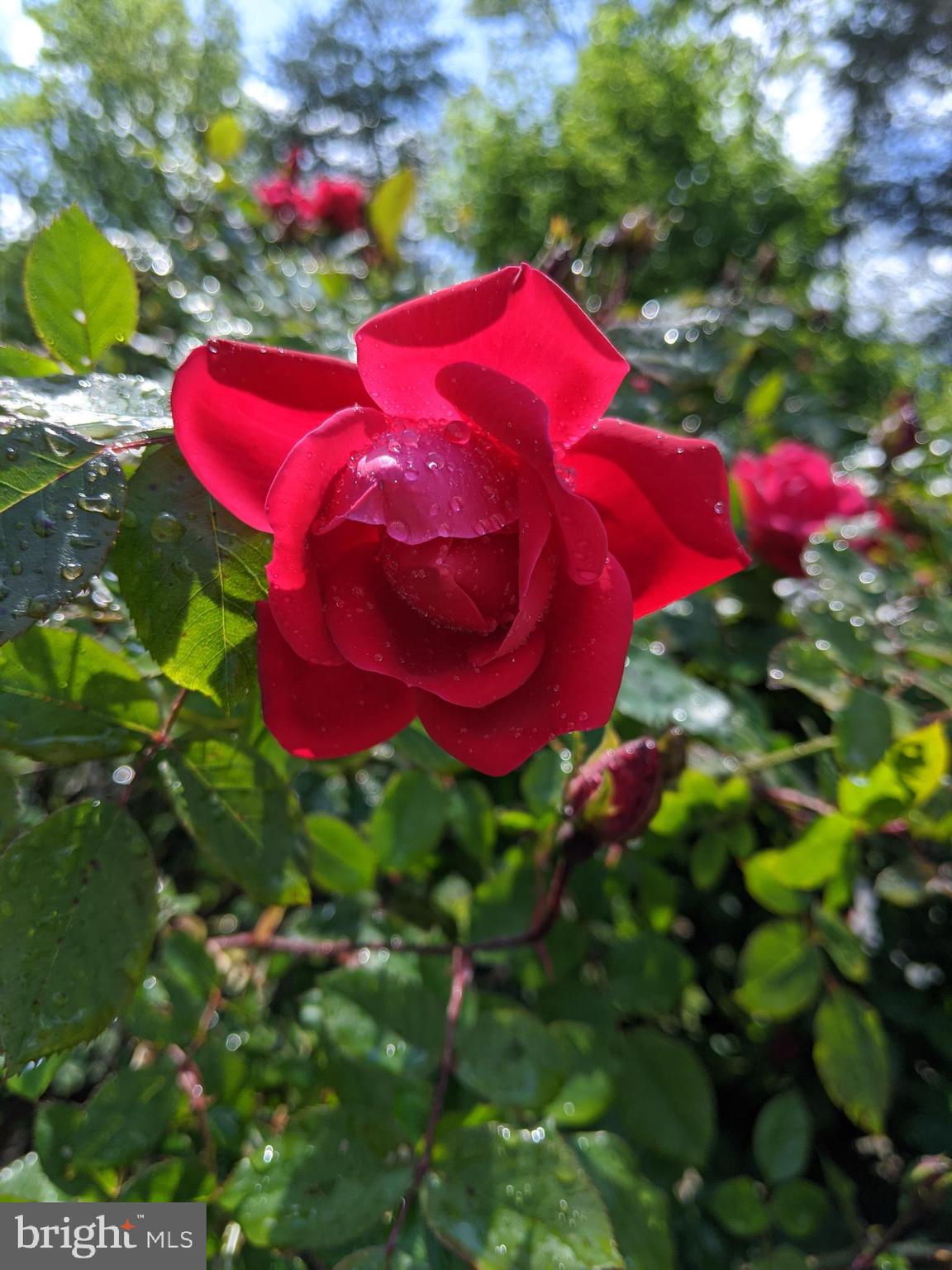 KUCZINSKI PROPERTY - Residential