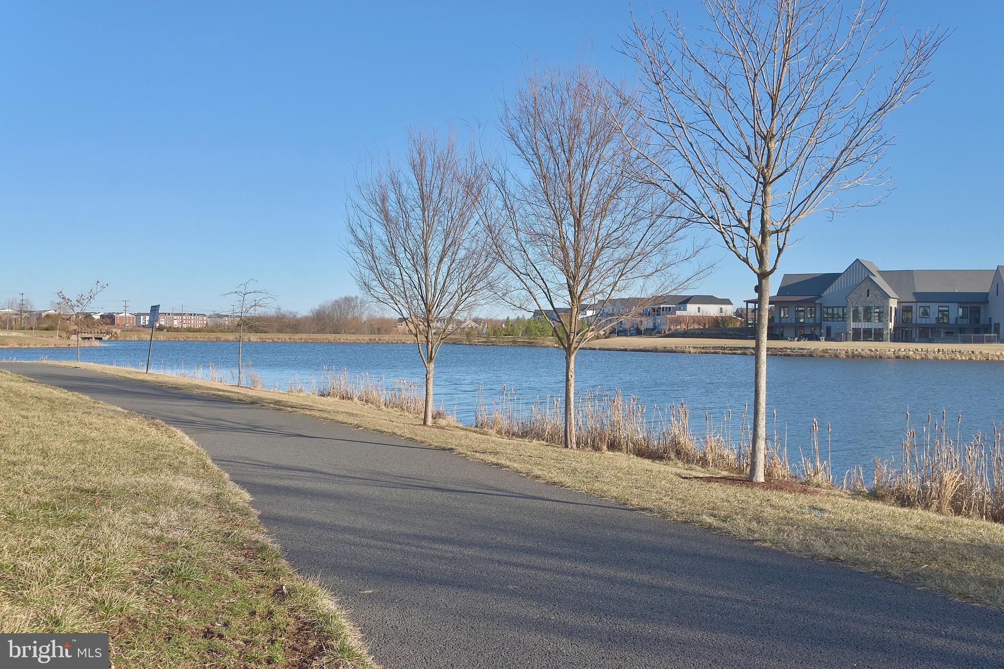 BIRCHWOOD AT BRAMBLETON - Residential