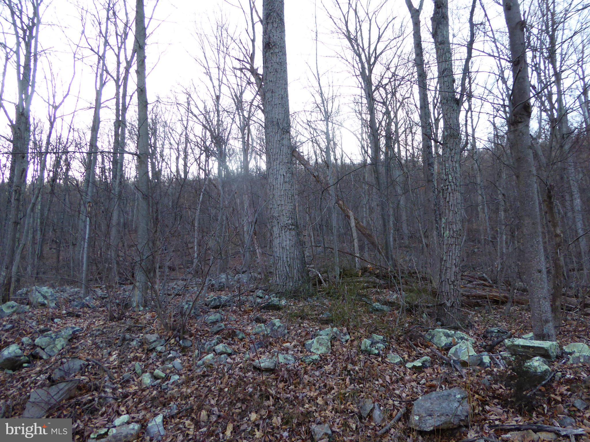 EAGLE MOUNTAIN - Land