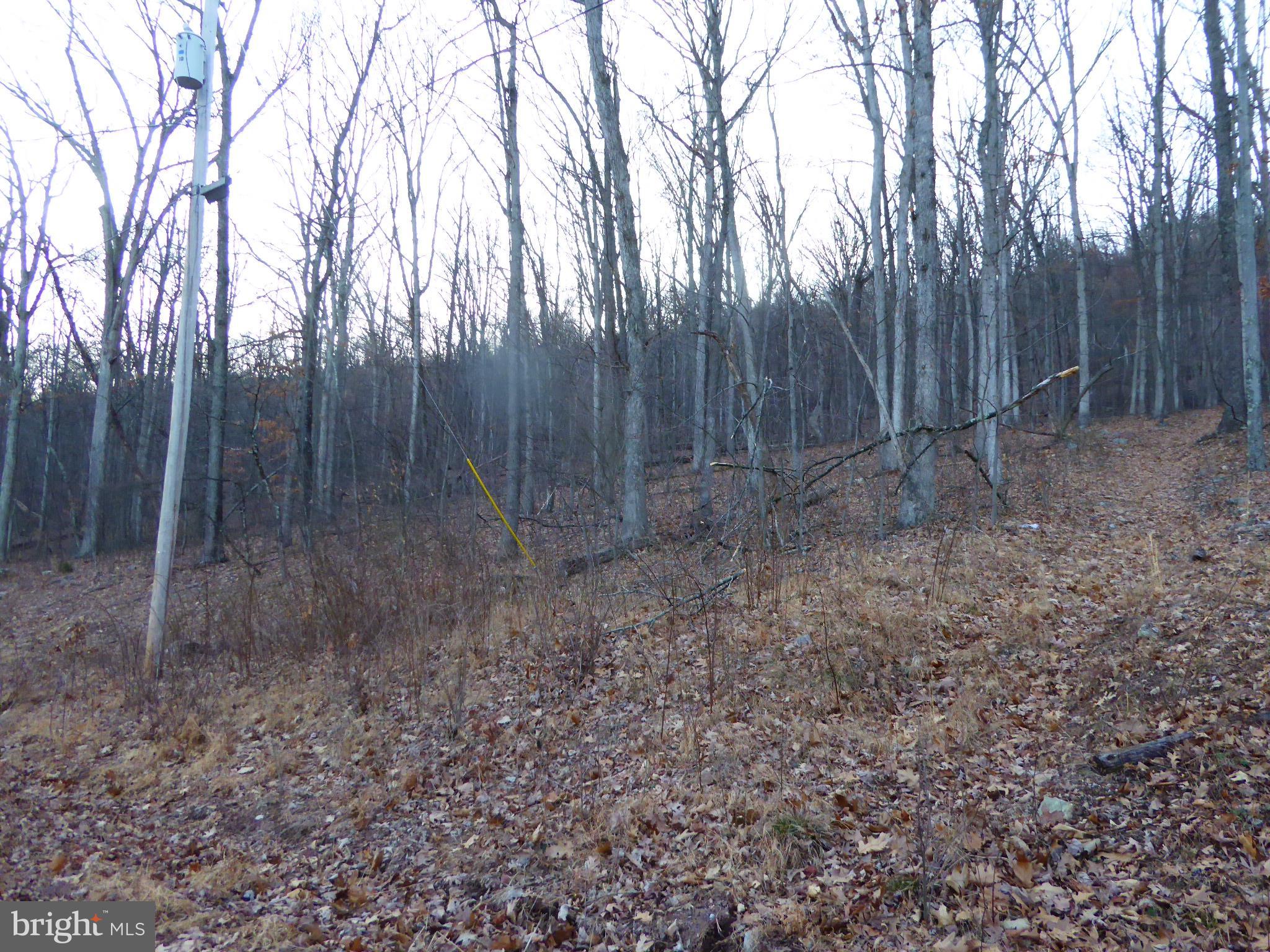 EAGLE MOUNTAIN - Land