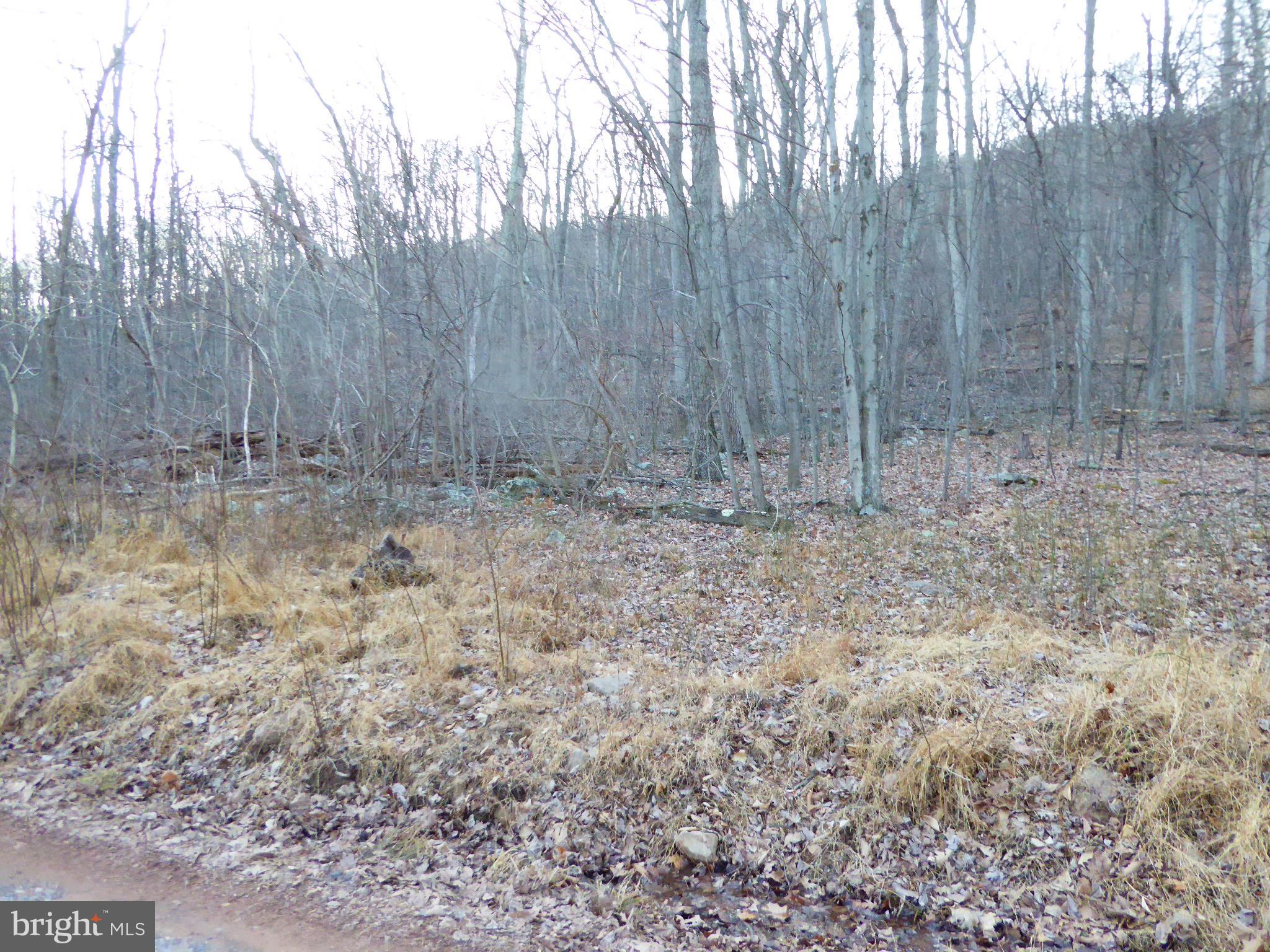 EAGLE MOUNTAIN - Land