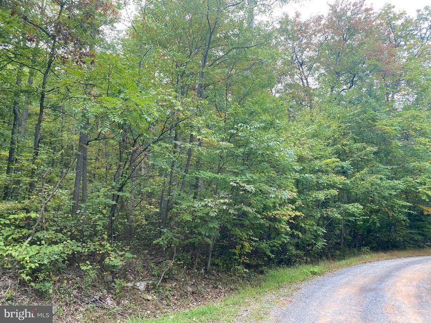 HERE IS YOUR CHANCE TO OWN A PIECE OF WILD AND WONDRFUL WEST VIRGINIA. THIS 11 PLUS ACRE MATURE HARDWOOD WOODED PARCEL OFFERS A PLACE TO CAMP OR BUILD YOUR WEEKEND RETREAT.  PROPERTY HAS GENTLE UPWARD SLOPES. THIS PROPERTY DOES ALLOW MANUFACTURED HOMES AS WELL. IF YOU LIKE TO FISH, KAYAK, OR CANOE THERE IS PUBLIC ACCESS TO THE GREAT CACAPON RIVER JUST A SHORT DRIVE AWAY. COME RELAX, GETAWAY FROM THE STRESS ENJOY THE SOUNDS OF THE QUIET COUNTRY LIFE. ADJOINING 13 PLUS ACRE PARCEL IS AVAILABLE.