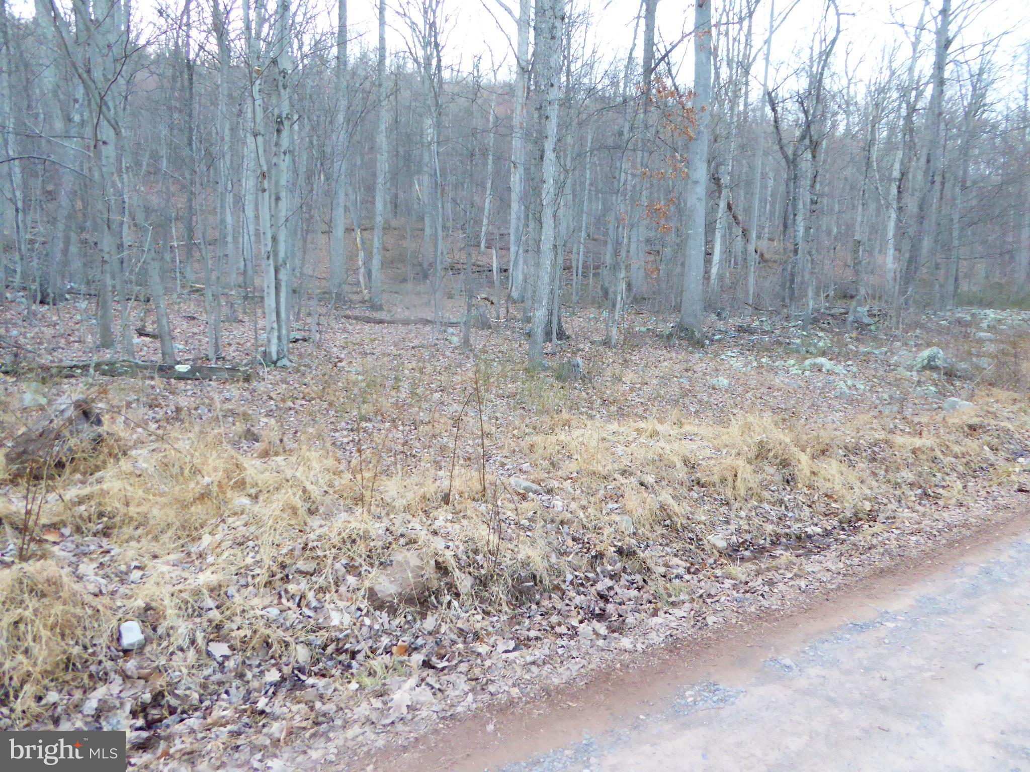 EAGLE MOUNTAIN - Land