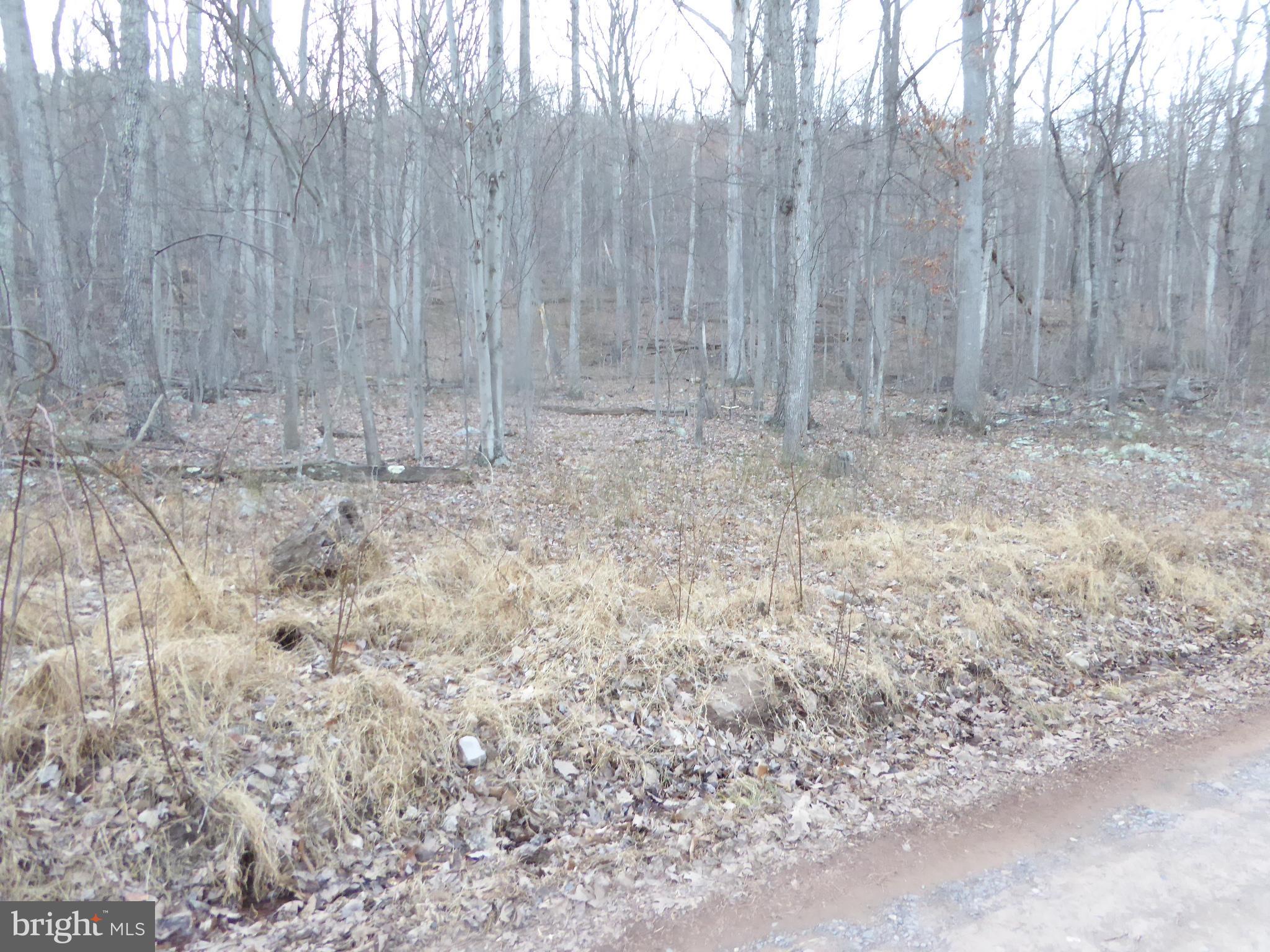 EAGLE MOUNTAIN - Land