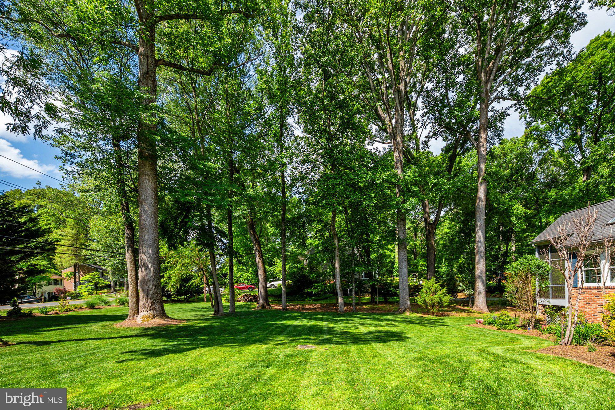 VALE SPRING WOODS - Residential