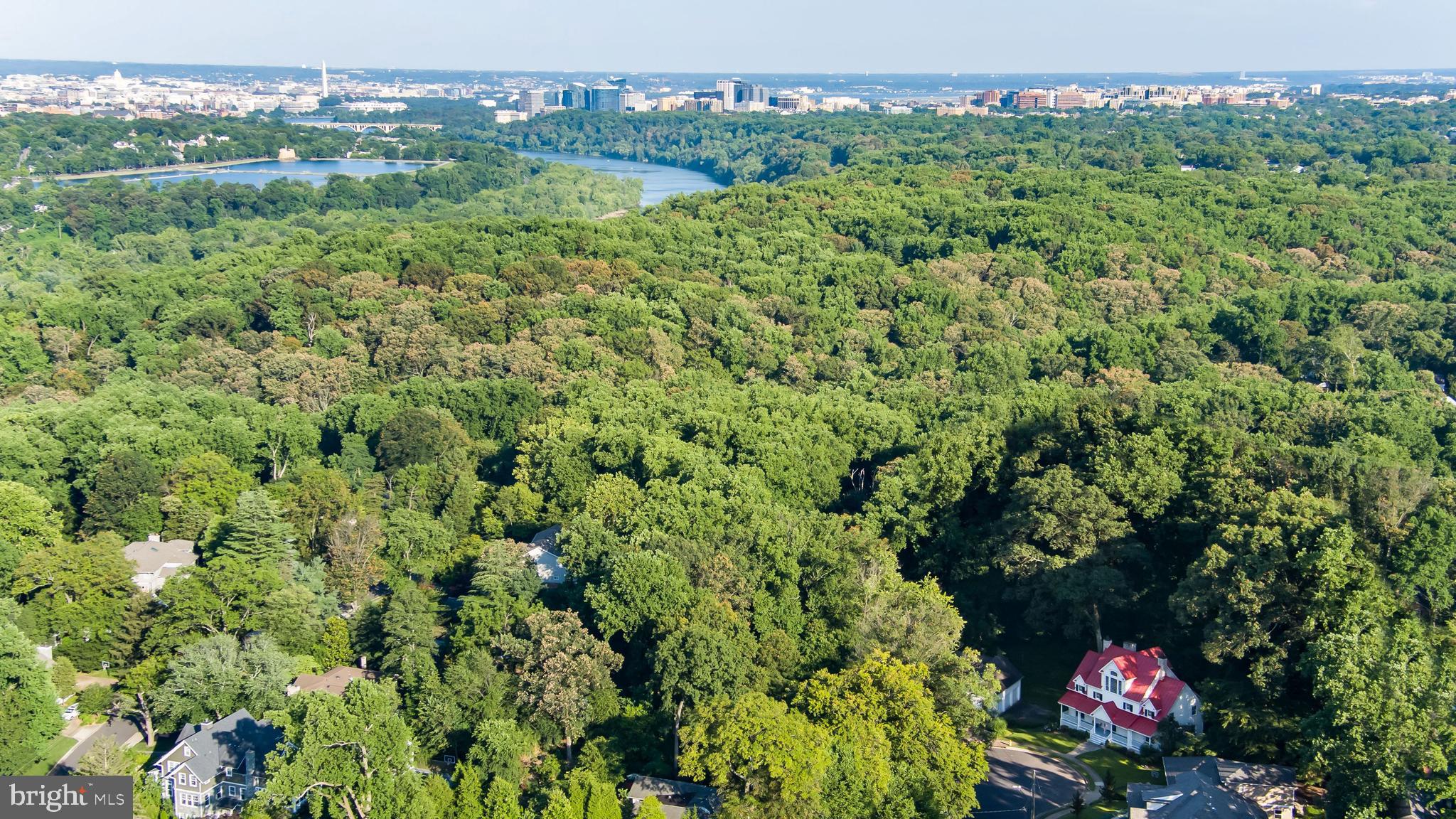 BELLEVUE FOREST - Residential