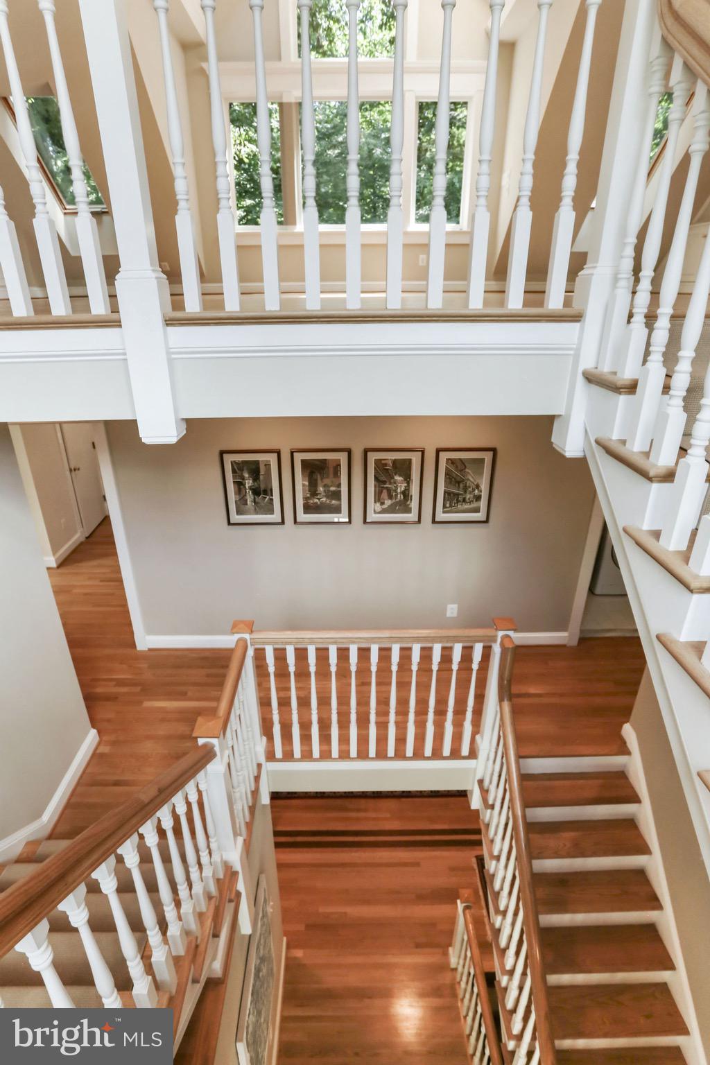 BELLEVUE FOREST - Residential