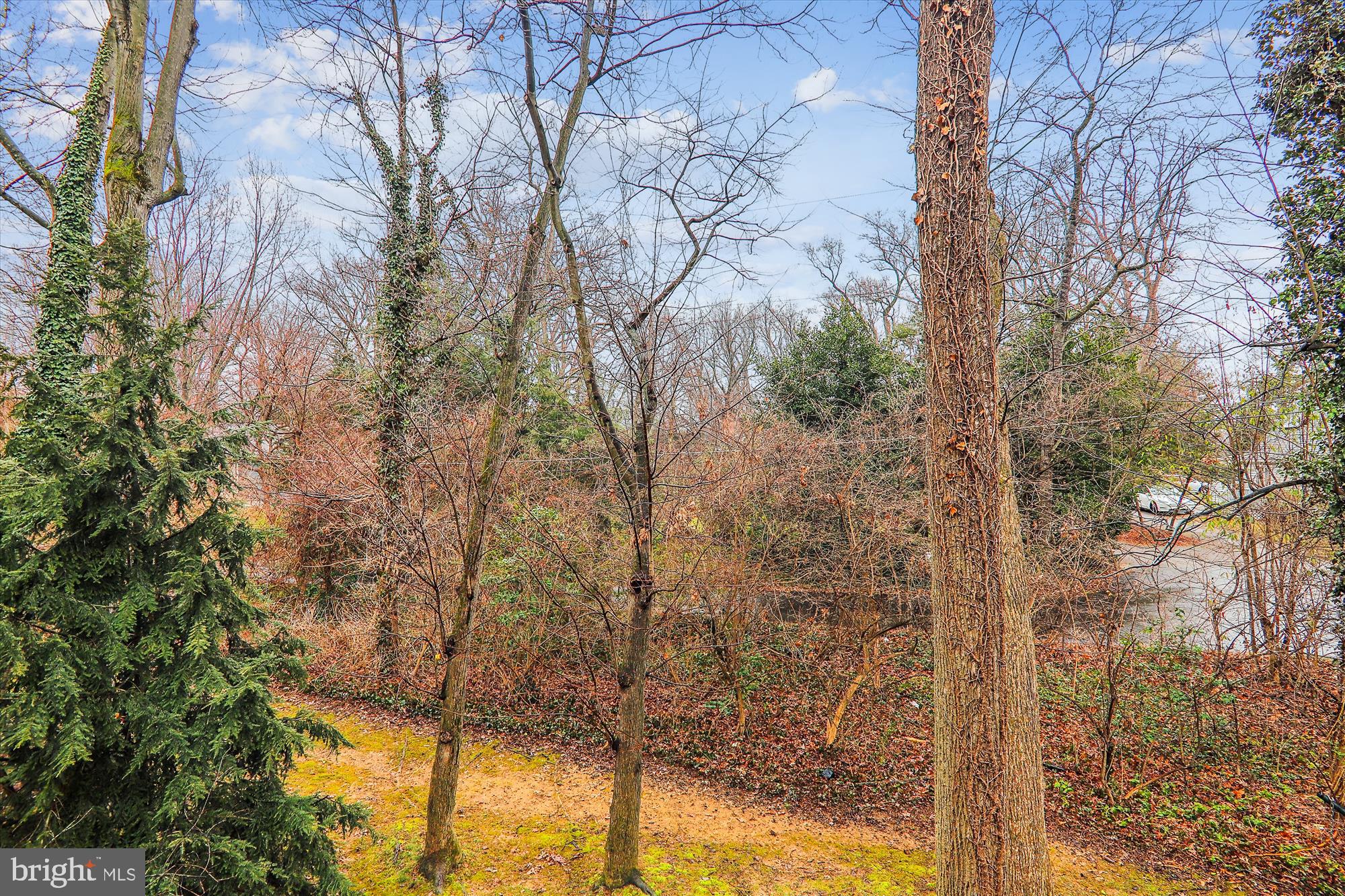 OAKTON STATION - Residential