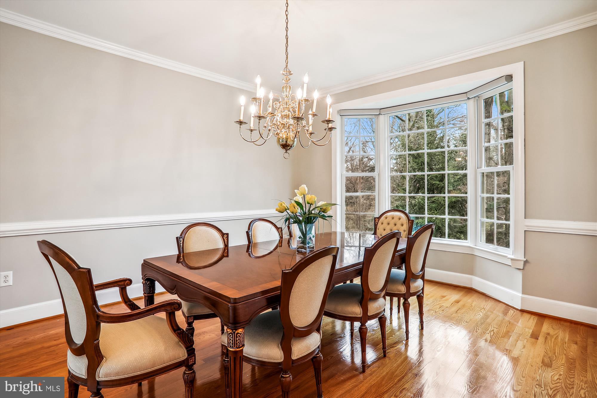 OAKTON STATION - Residential