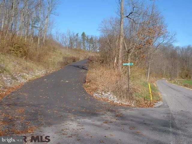 Additional image 2 of ON Wildflower Lane Lot 2, Spring Mills, PA 16875
