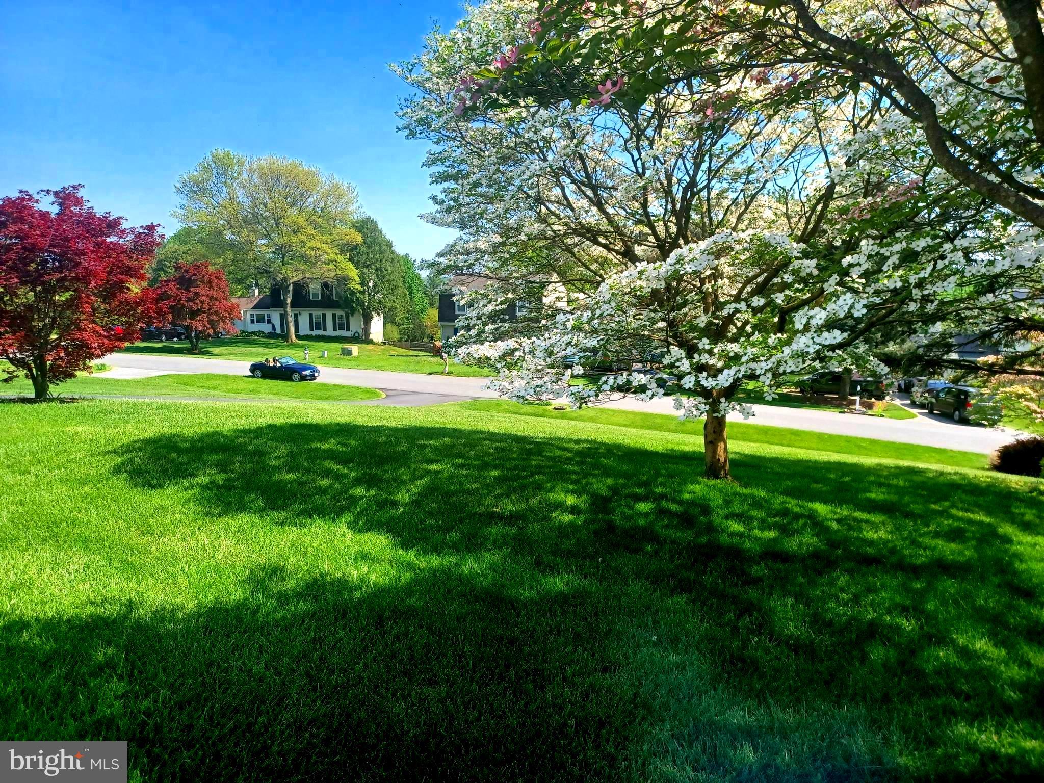 FOUNTAIN VIEW - Residential