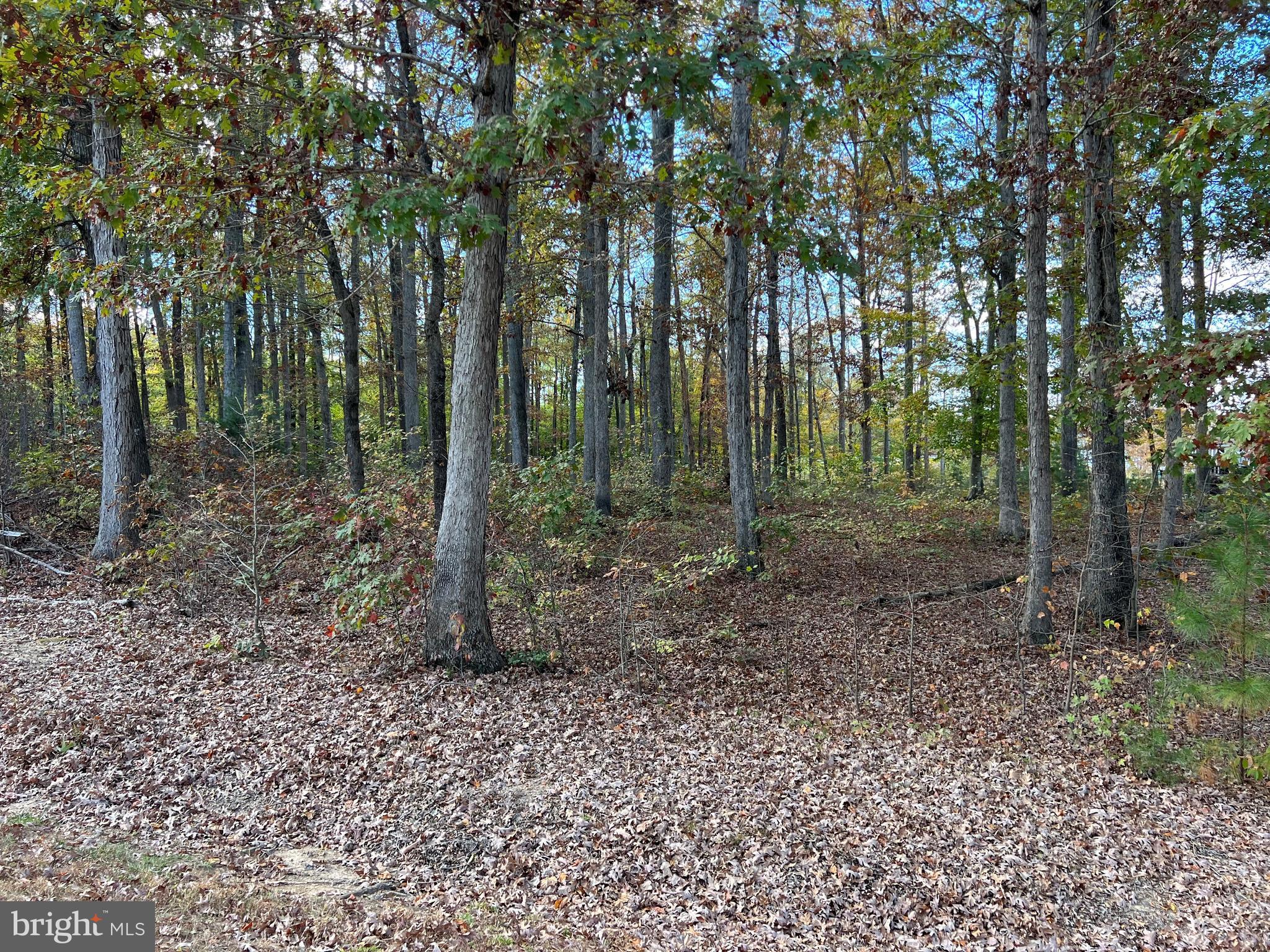 NOAH'S LANDING - Land