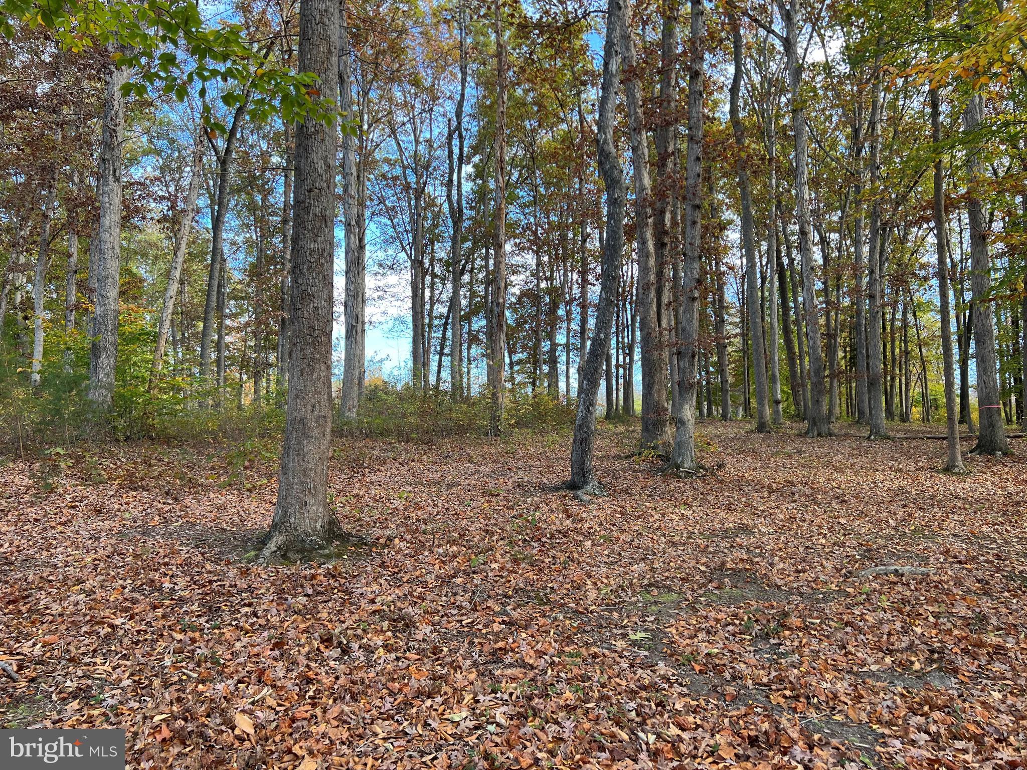 NOAH'S LANDING - Land