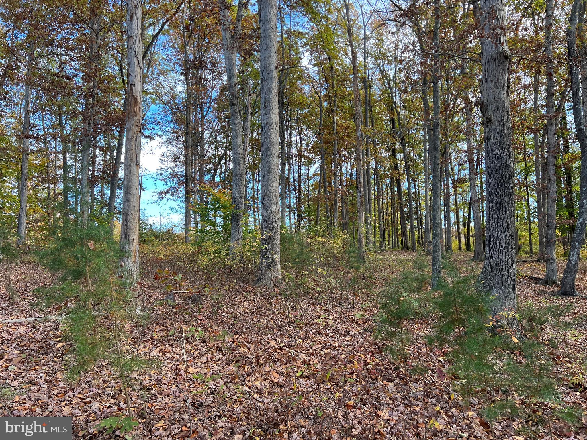 NOAH'S LANDING - Land