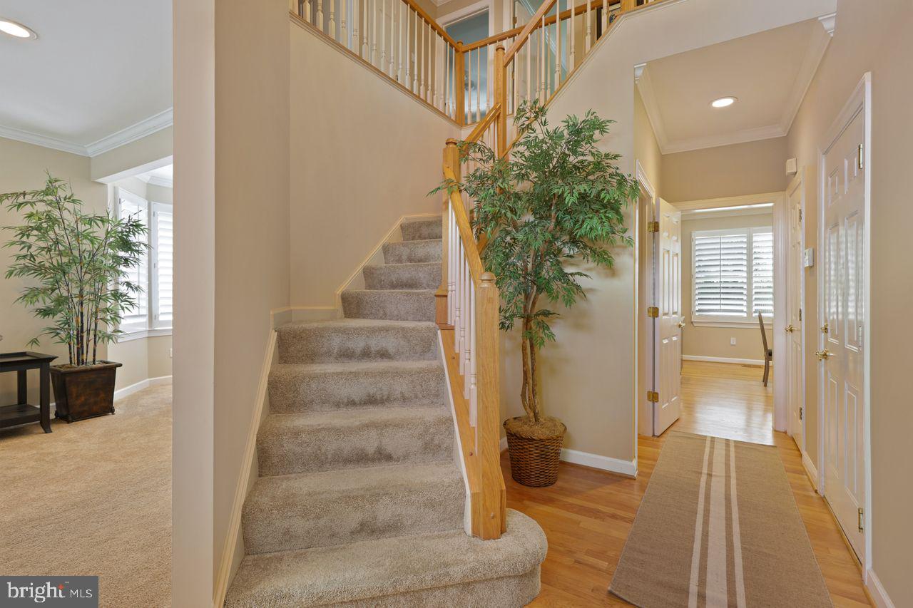 CHAPMAN FARM - Residential