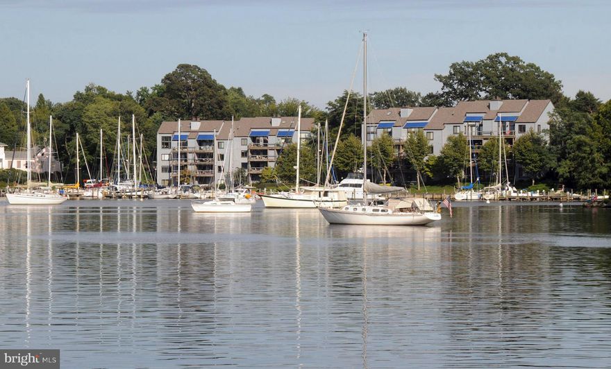 Gorgeous Brazilian Koa wood floors throughout | LR w/fireplace and built-in bookcases + walls of windows and sliders to beautiful Spa Creek Views | Brand new kitchen with 20" tile floor, granite, wine refrigerator, stainless appliances | Dining Room w/water views | A gated community with waterside pool, marina, tennis and racquetball | Walk, bike or enjoy a water taxi ride to downtown Annapolis.