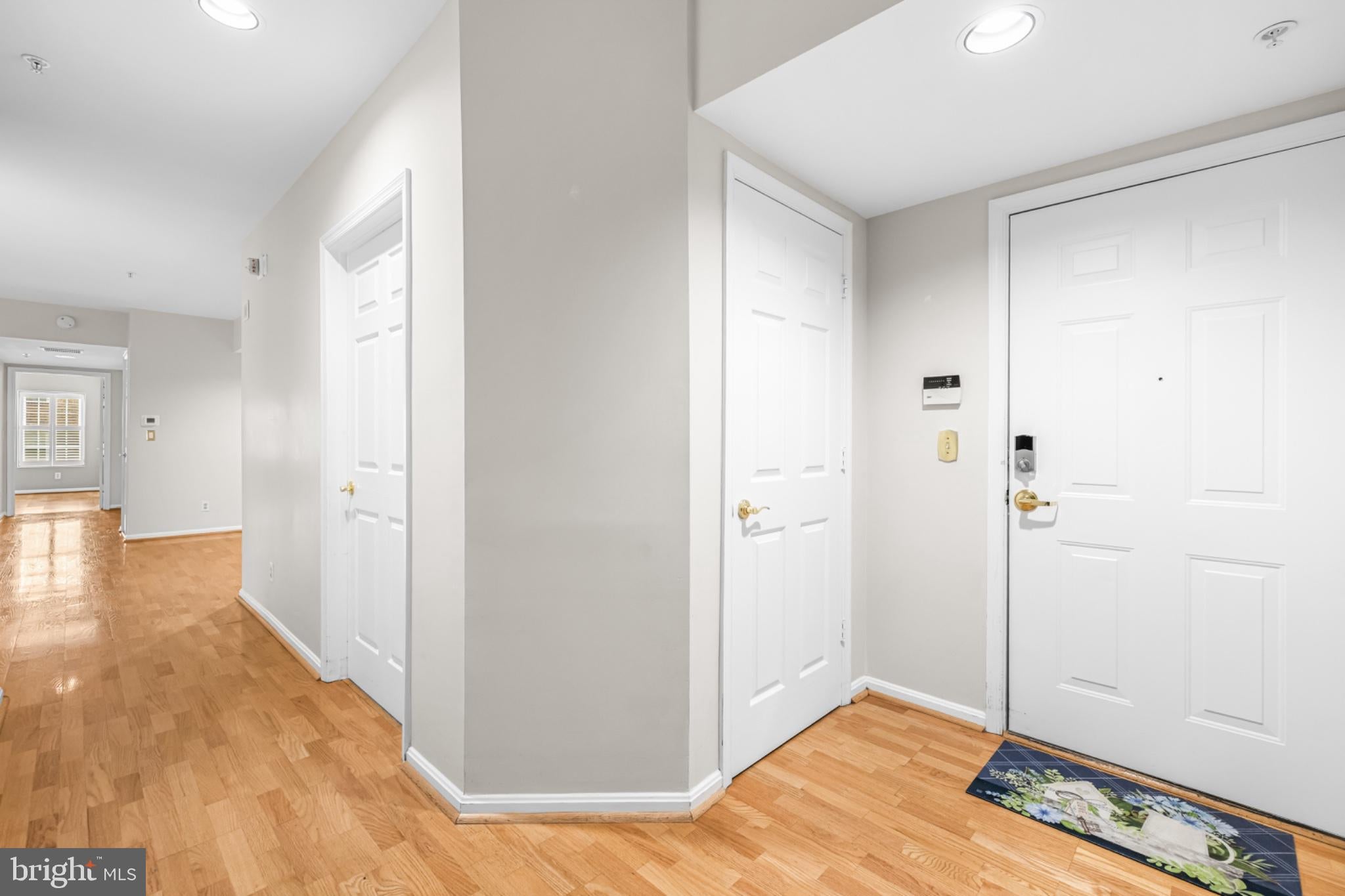 514 LIMERICK CIRCLE 203