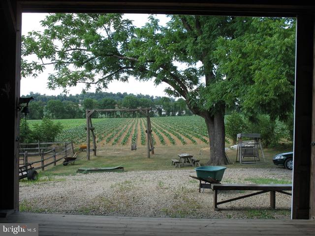 NONE AVAILABLE - Farm