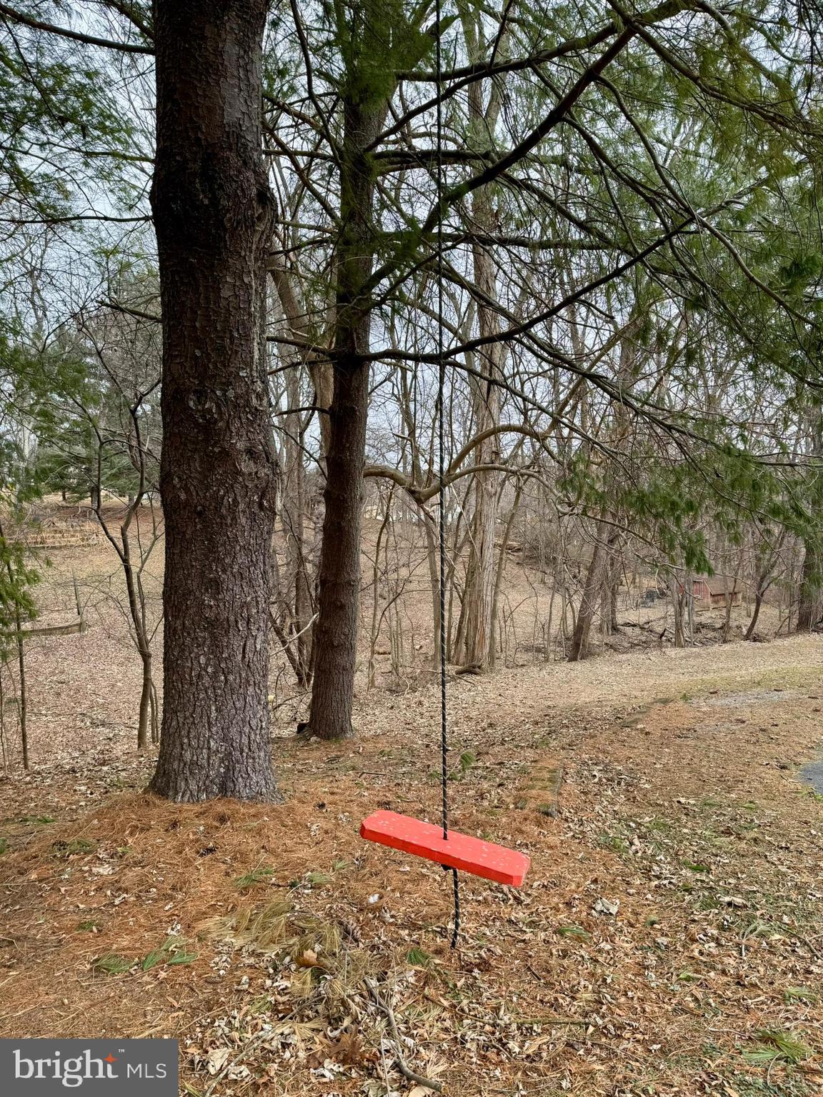 COUNTY VIEW - Residential Lease