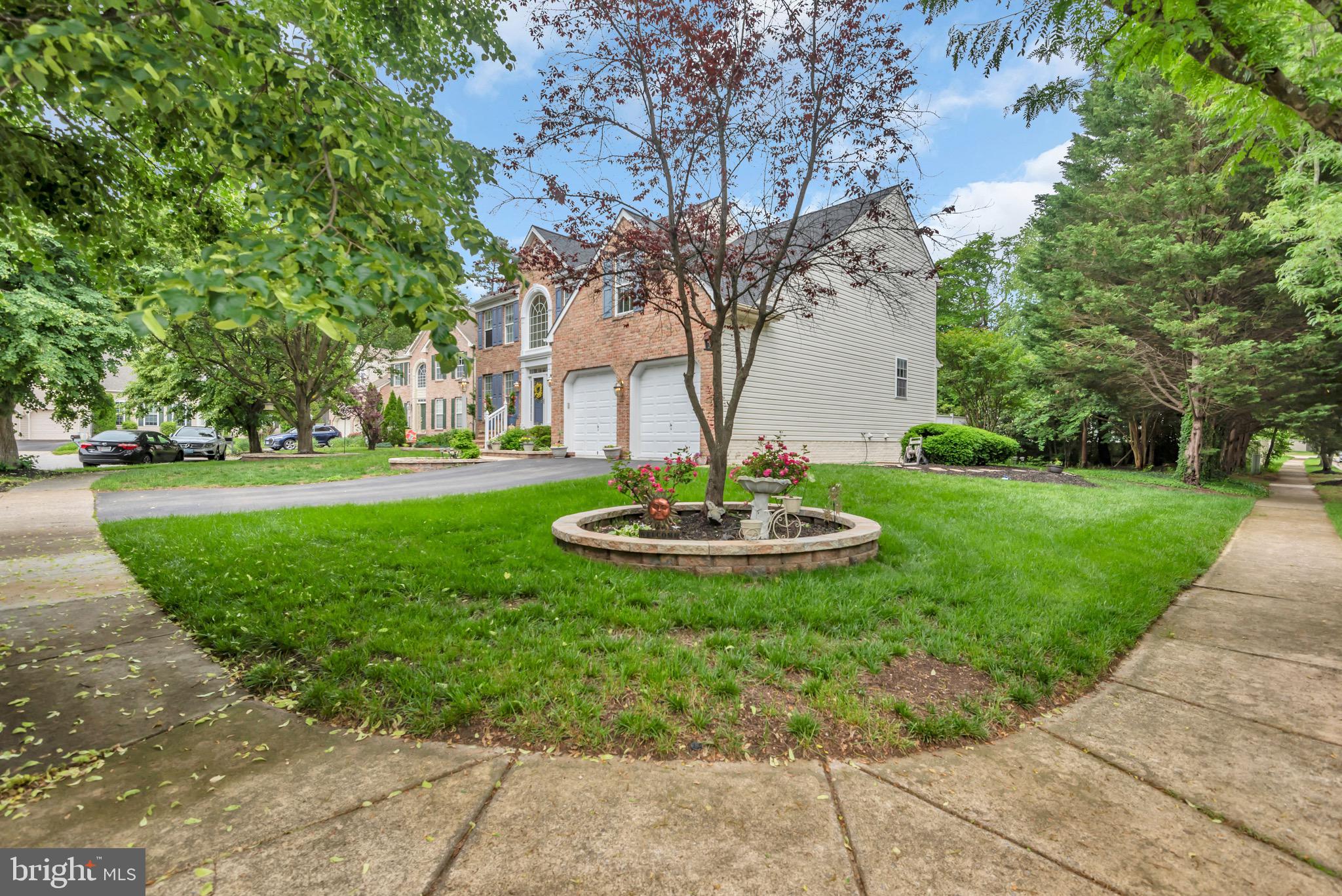 8139 SHOWCASE COURT