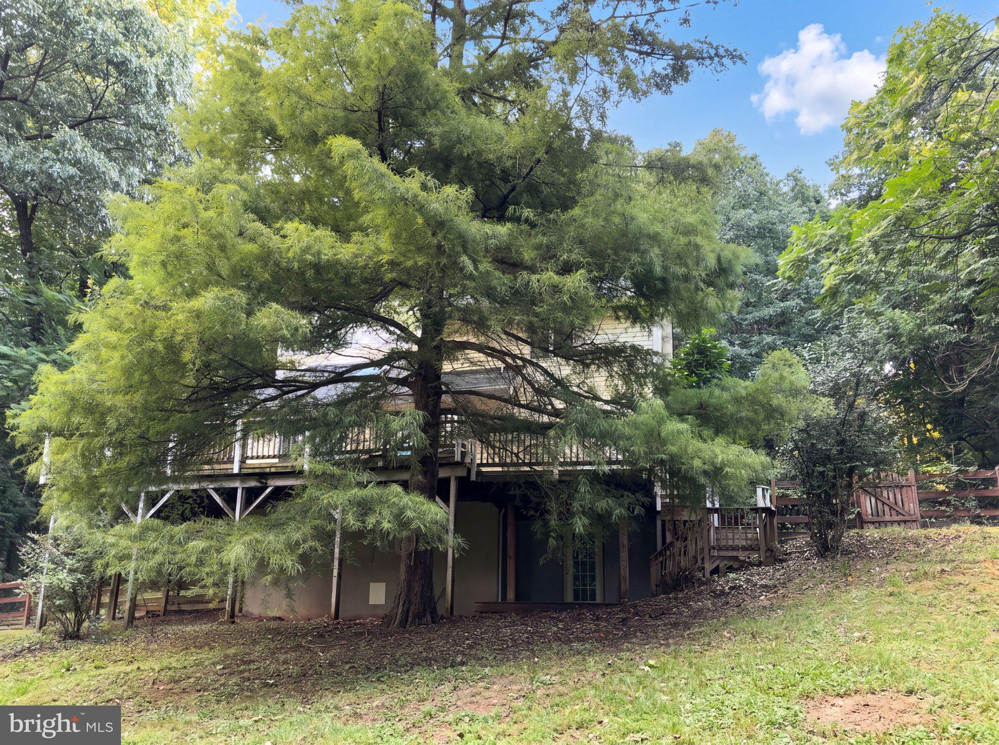 542 JONATHAN ROAD