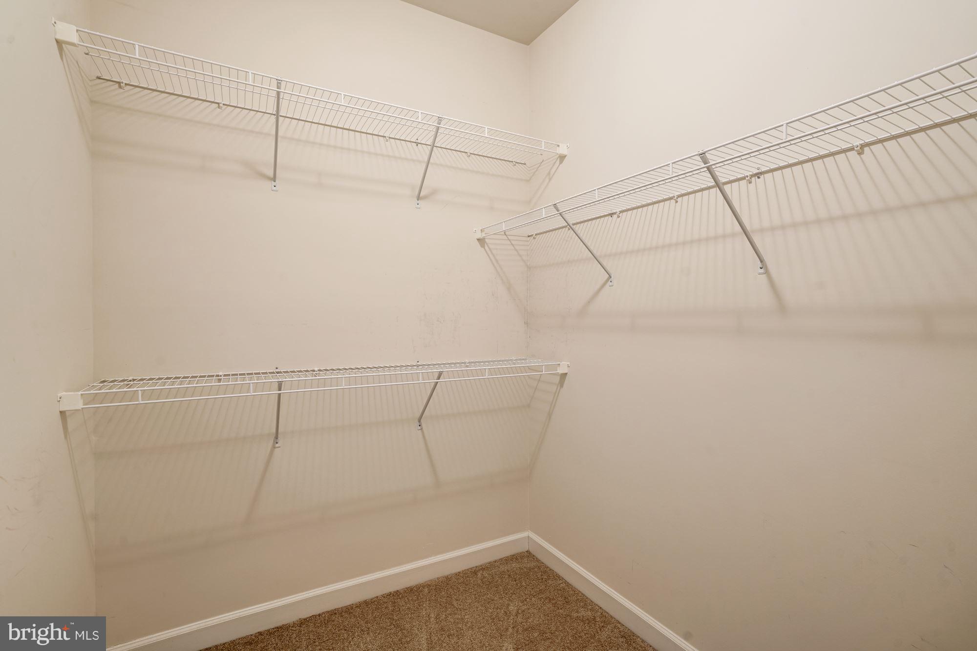 AVONLEA - Residential Lease