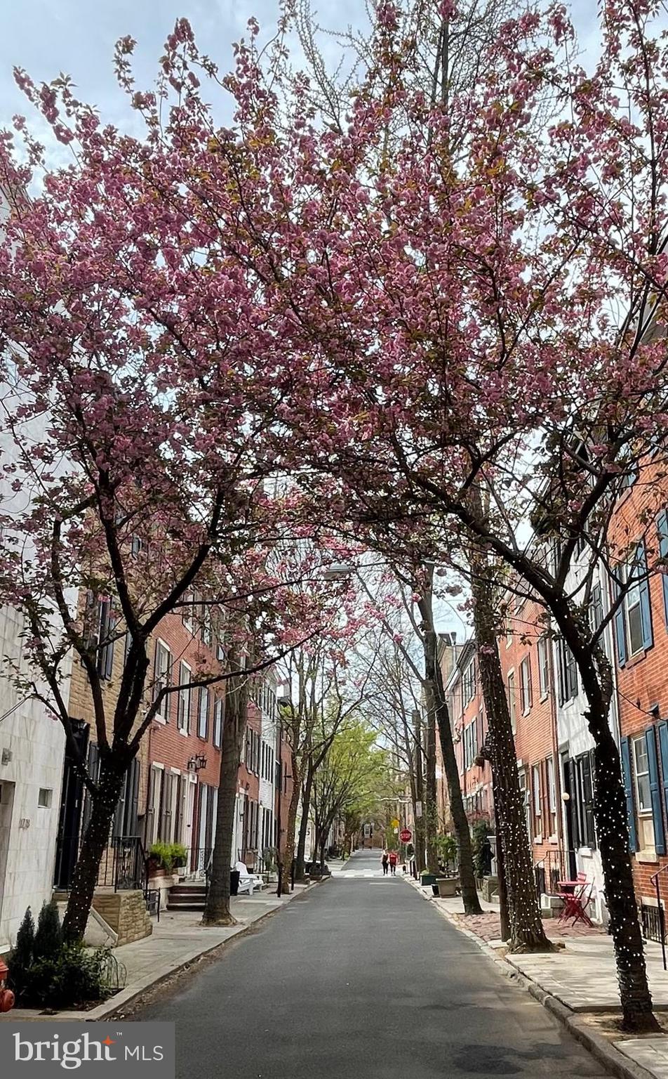 RITTENHOUSE SQUARE - Residential