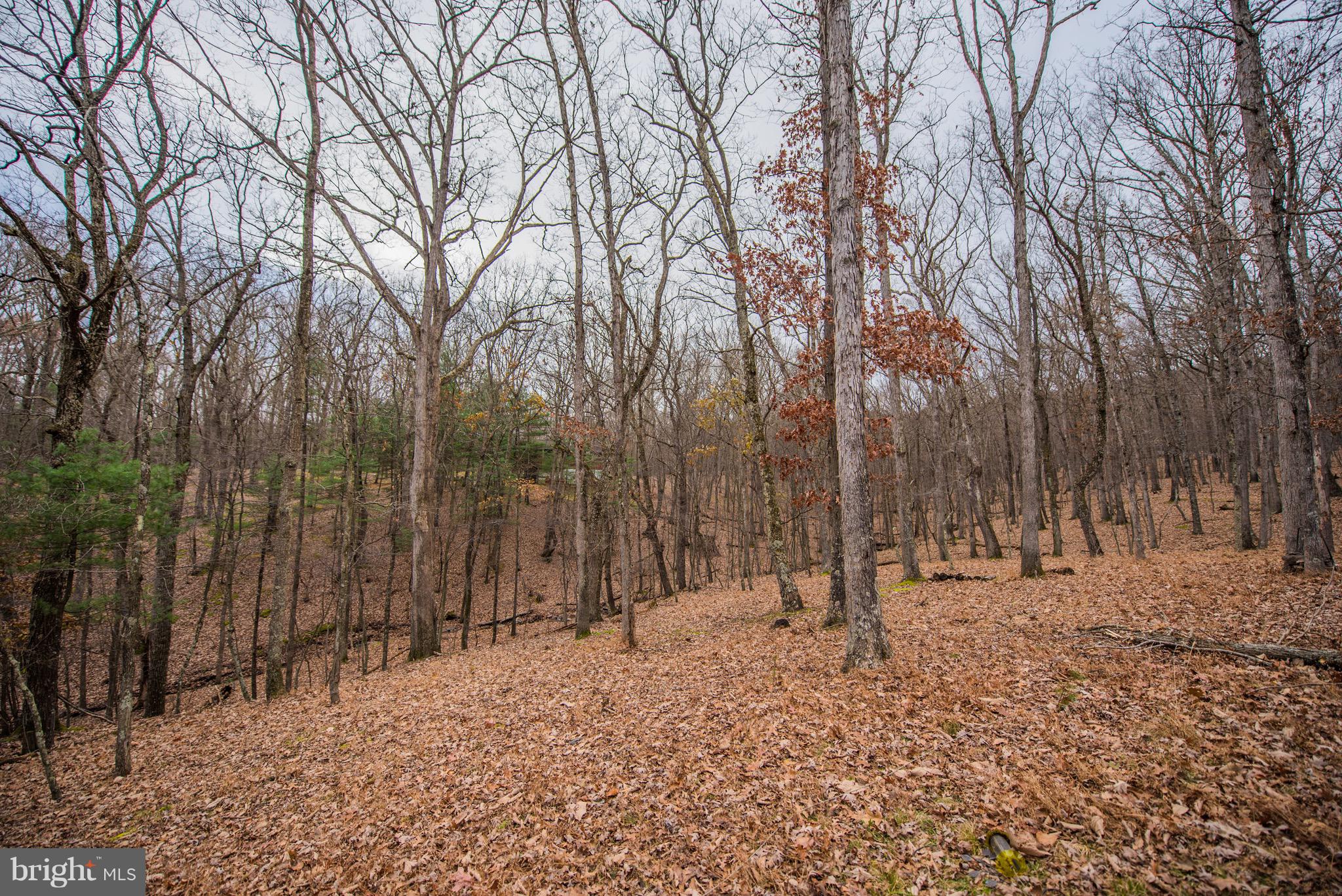 RIVER RIDGE SUBDIVISION - Residential